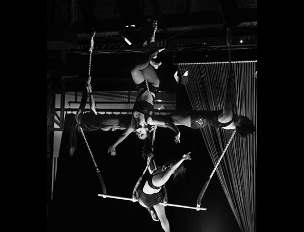 Aerialists Brisbane - Trapeze Artists - Aerial Entertainment Performers